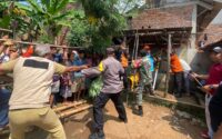 Aksi Penyelamatan Kucing Berujung Maut di Pemalang