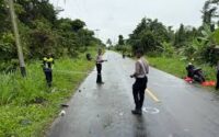Tragedi Tabrakan di Jalan Trans Papua Keerom: Satu Pengendara Tewas, Tiga Orang Terluka Parah