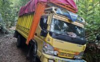 Sopir Truk Tersesat di Hutan Sinjai: Kisah Mistis Faisal “Icca” yang Menghilang Sehari Semalam